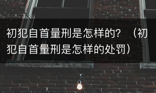 初犯自首量刑是怎样的？（初犯自首量刑是怎样的处罚）