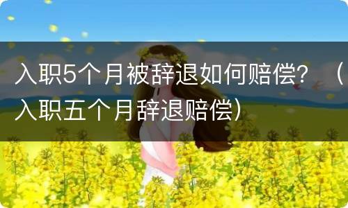 入职5个月被辞退如何赔偿？（入职五个月辞退赔偿）