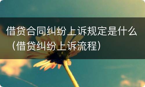 借贷合同纠纷上诉规定是什么（借贷纠纷上诉流程）