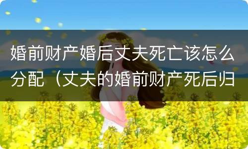 婚前财产婚后丈夫死亡该怎么分配（丈夫的婚前财产死后归谁所有）