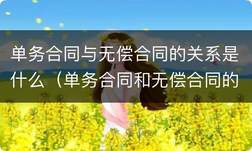 单务合同与无偿合同的关系是什么（单务合同和无偿合同的相同点）