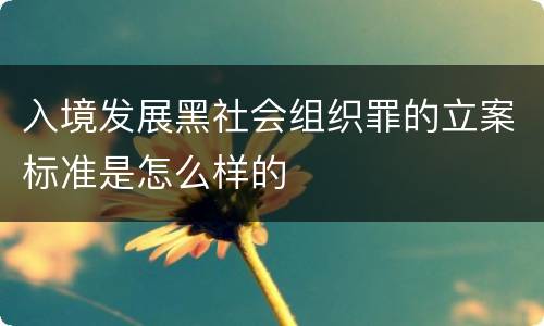 入境发展黑社会组织罪的立案标准是怎么样的