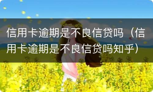 信用卡逾期是不良信贷吗（信用卡逾期是不良信贷吗知乎）