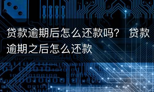 贷款逾期后怎么还款吗？ 贷款逾期之后怎么还款