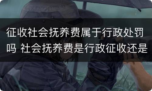 征收社会抚养费属于行政处罚吗 社会抚养费是行政征收还是行政处罚