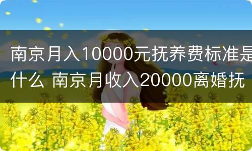 南京月入10000元抚养费标准是什么 南京月收入20000离婚抚养费