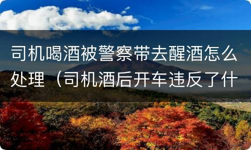 司机喝酒被警察带去醒酒怎么处理（司机酒后开车违反了什么法律）