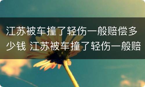江苏被车撞了轻伤一般赔偿多少钱 江苏被车撞了轻伤一般赔偿多少钱啊