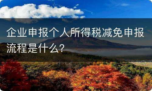 企业申报个人所得税减免申报流程是什么？