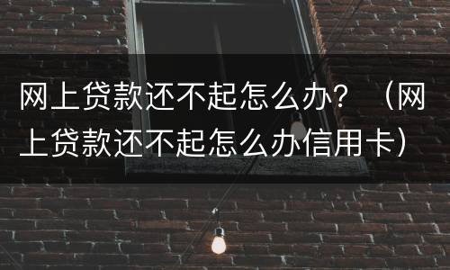 网上贷款还不起怎么办？（网上贷款还不起怎么办信用卡）
