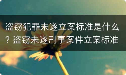 盗窃犯罪未遂立案标准是什么? 盗窃未遂刑事案件立案标准