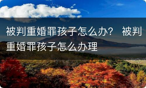 被判重婚罪孩子怎么办？ 被判重婚罪孩子怎么办理