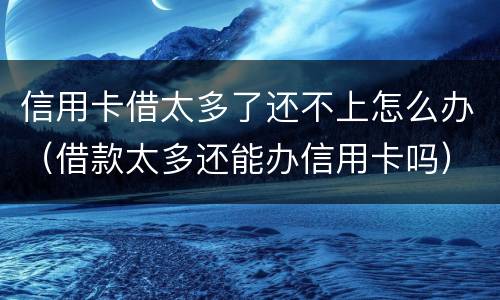 信用卡借太多了还不上怎么办（借款太多还能办信用卡吗）