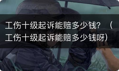 工伤十级起诉能赔多少钱？（工伤十级起诉能赔多少钱呀）