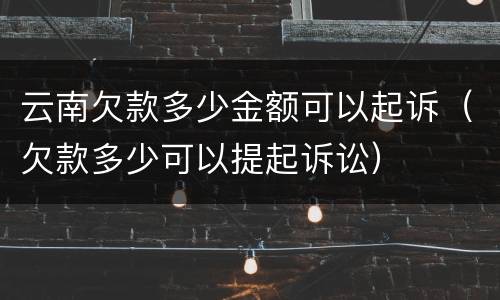 云南欠款多少金额可以起诉（欠款多少可以提起诉讼）