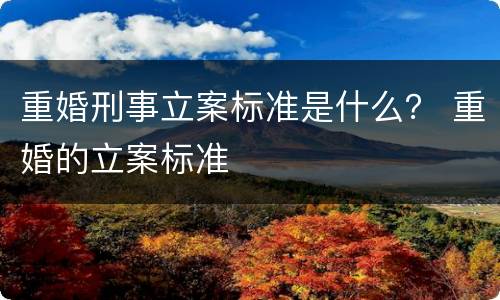 重婚刑事立案标准是什么？ 重婚的立案标准