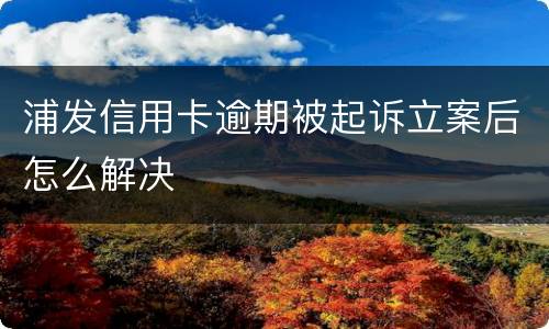 浦发信用卡逾期被起诉立案后怎么解决