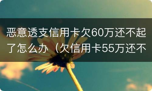 恶意透支信用卡欠60万还不起了怎么办（欠信用卡55万还不上,怎么避免坐牢）
