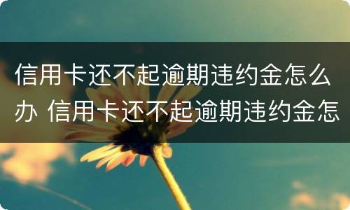 信用卡还不起逾期违约金怎么办 信用卡还不起逾期违约金怎么办呢