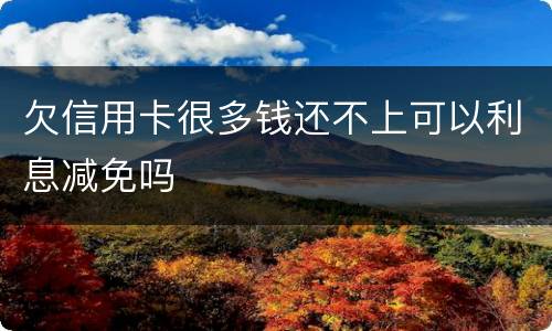 欠信用卡很多钱还不上可以利息减免吗
