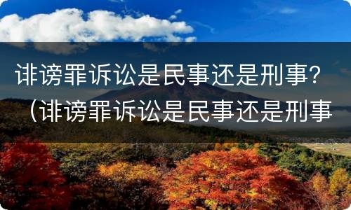 诽谤罪诉讼是民事还是刑事？（诽谤罪诉讼是民事还是刑事案件）