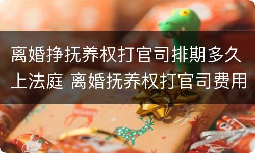 离婚挣抚养权打官司排期多久上法庭 离婚抚养权打官司费用