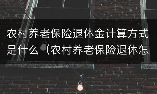 农村养老保险退休金计算方式是什么（农村养老保险退休怎么算的）
