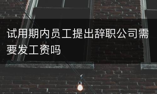 试用期内员工提出辞职公司需要发工资吗