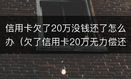 信用卡欠了20万没钱还了怎么办（欠了信用卡20万无力偿还怎么办）