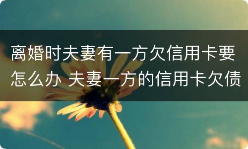 离婚时夫妻有一方欠信用卡要怎么办 夫妻一方的信用卡欠债能离婚门吗?