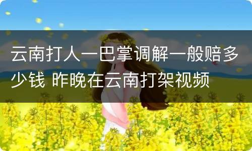 云南打人一巴掌调解一般赔多少钱 昨晚在云南打架视频