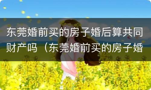 东莞婚前买的房子婚后算共同财产吗（东莞婚前买的房子婚后算共同财产吗怎么算）