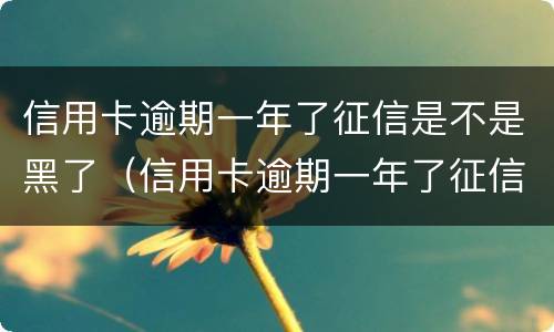 信用卡逾期一年了征信是不是黑了（信用卡逾期一年了征信是不是黑了呀）