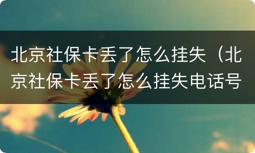 北京社保卡丢了怎么挂失（北京社保卡丢了怎么挂失电话号码）