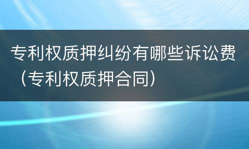 专利权质押纠纷有哪些诉讼费（专利权质押合同）