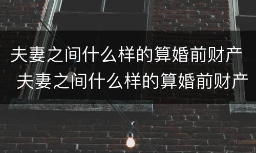 夫妻之间什么样的算婚前财产 夫妻之间什么样的算婚前财产呢