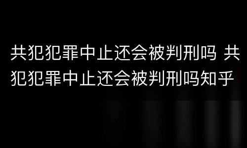 共犯犯罪中止还会被判刑吗 共犯犯罪中止还会被判刑吗知乎