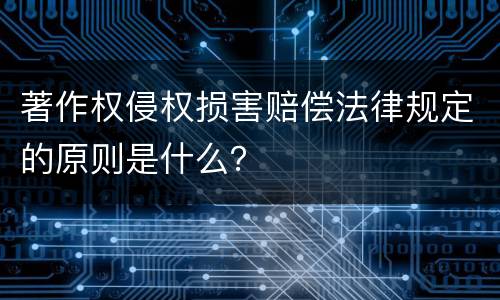 著作权侵权损害赔偿法律规定的原则是什么？
