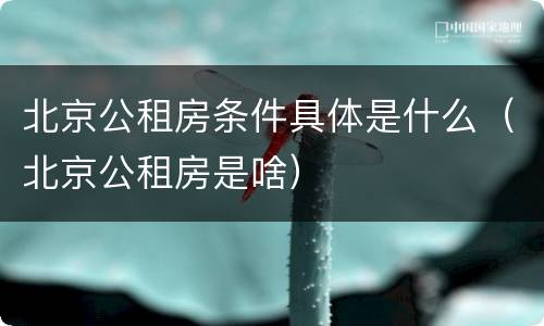 北京公租房条件具体是什么（北京公租房是啥）