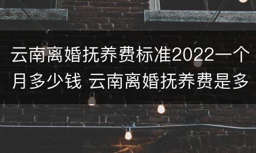 云南离婚抚养费标准2022一个月多少钱 云南离婚抚养费是多少