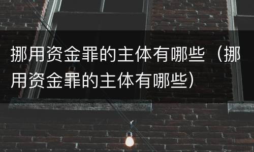 挪用资金罪的主体有哪些（挪用资金罪的主体有哪些）