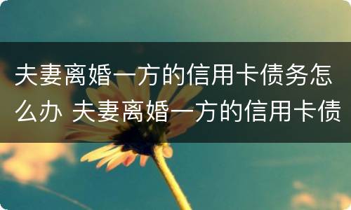 夫妻离婚一方的信用卡债务怎么办 夫妻离婚一方的信用卡债务怎么办呢