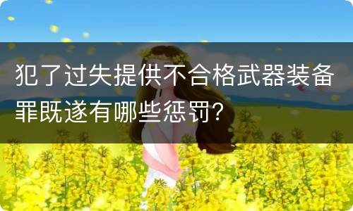 犯了过失提供不合格武器装备罪既遂有哪些惩罚？