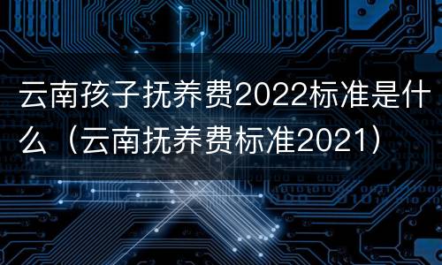 云南孩子抚养费2022标准是什么（云南抚养费标准2021）