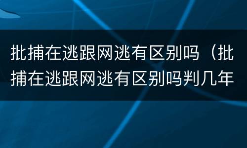 批捕在逃跟网逃有区别吗（批捕在逃跟网逃有区别吗判几年）
