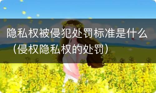 隐私权被侵犯处罚标准是什么（侵权隐私权的处罚）