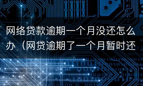 网络贷款逾期一个月没还怎么办（网贷逾期了一个月暂时还不上怎么办）