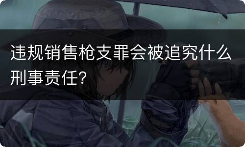 违规销售枪支罪会被追究什么刑事责任？