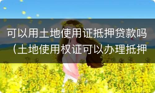 可以用土地使用证抵押贷款吗（土地使用权证可以办理抵押贷款吗）