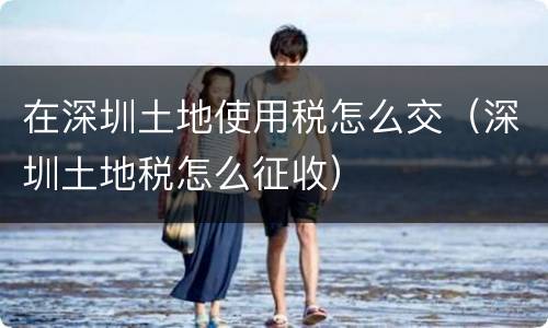 在深圳土地使用税怎么交（深圳土地税怎么征收）